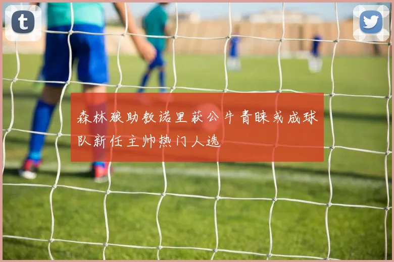 森林狼助教诺里获公牛青睐或成球队新任主帅热门人选