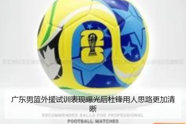 广东男篮外援试训表现曝光后杜锋用人思路更加清晰（MILANSPORT）